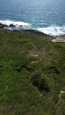 Eleventh image of Three Miles Lane in Galina, St. Mary, Jamaica - property is For Sale