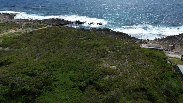 Twelfth image of Three Miles Lane in Galina, St. Mary, Jamaica - property is For Sale