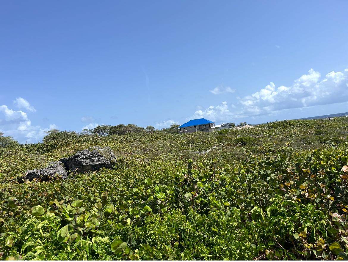 Third image of Three Miles Lane in Galina, St. Mary, Jamaica - property is For Sale