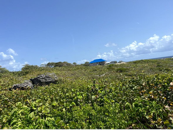 Third image of Three Miles Lane in Galina, St. Mary, Jamaica - property is For Sale