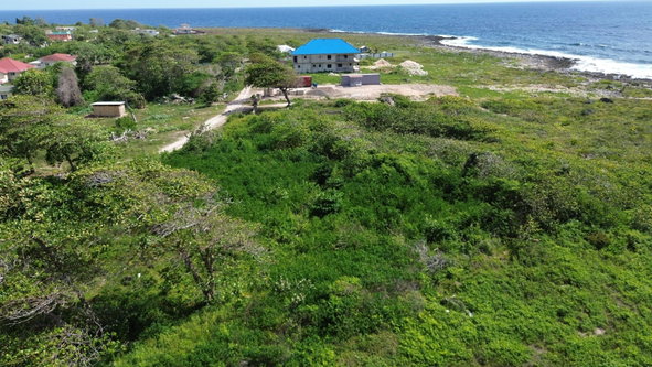 Tenth image of Three Miles Lane in Galina, St. Mary, Jamaica - property is For Sale
