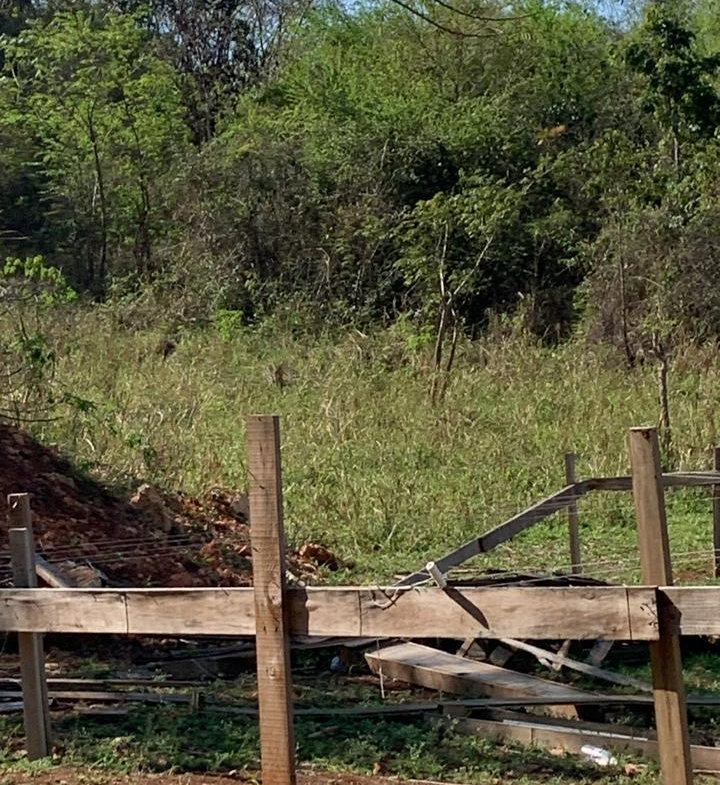 Eighth image of Maverley Mountain in Red Hills, St. Andrew, Jamaica - property is For Sale