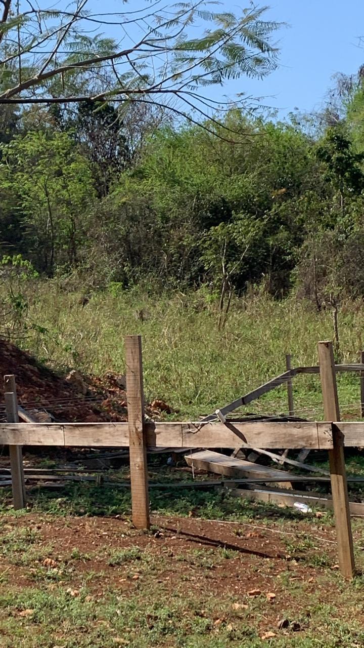 Eighth image of Maverley Mountain in Red Hills, St. Andrew, Jamaica - property is For Sale