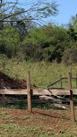 Eighth image of Maverley Mountain in Red Hills, St. Andrew, Jamaica - property is For Sale