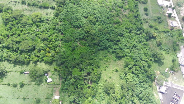 Third image of 2 Luana in Luana, St. Elizabeth, Jamaica - property is For Sale