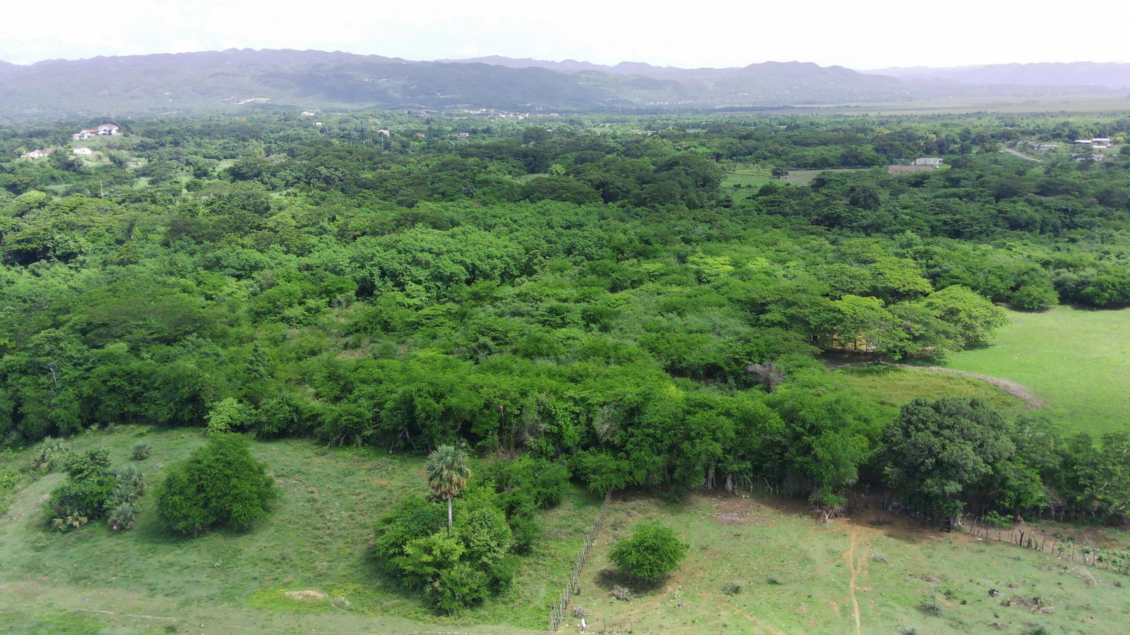 Twenty-Third image of 2 Luana in Luana, St. Elizabeth, Jamaica - property is For Sale