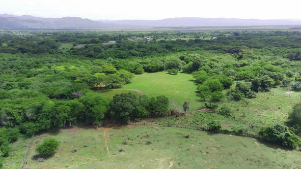Twenty-Fourth image of 2 Luana in Luana, St. Elizabeth, Jamaica - property is For Sale