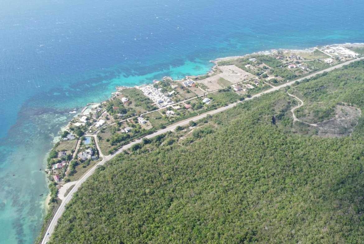 Eleventh image of Lot 3- Queen's Highway, Bengal s in Red Valley, St. Ann, Jamaica - property is For Sale