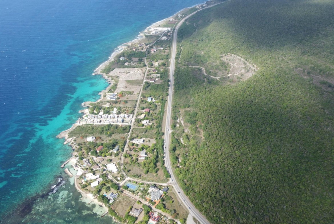 Fourteenth image of Lot 3- Queen's Highway, Bengal s in Red Valley, St. Ann, Jamaica - property is For Sale