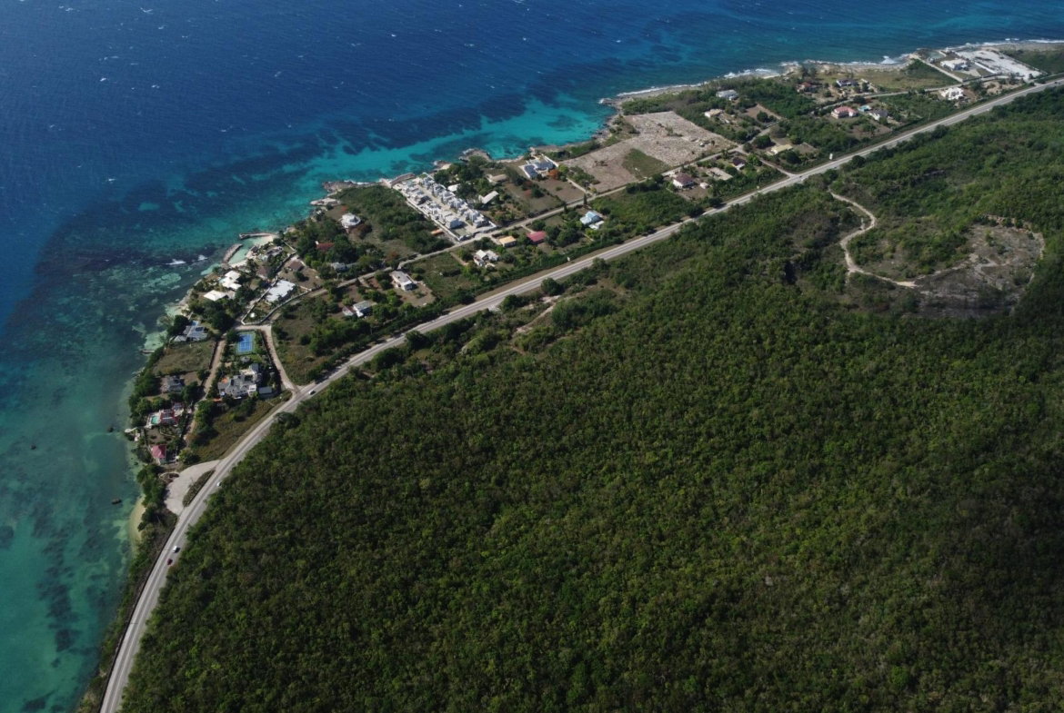 Third image of Lot 3- Queen's Highway, Bengal s in Red Valley, St. Ann, Jamaica - property is For Sale