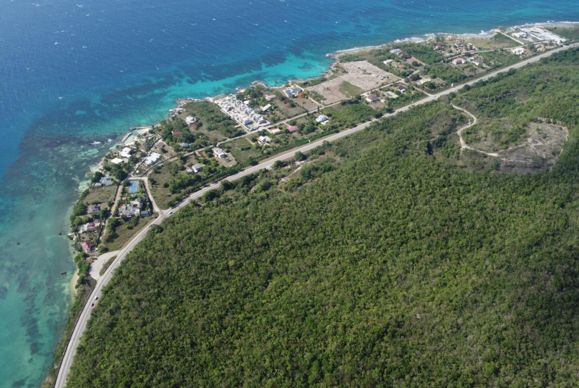 Ninth image of Lot 3- Queen's Highway, Bengal s in Red Valley, St. Ann, Jamaica - property is For Sale