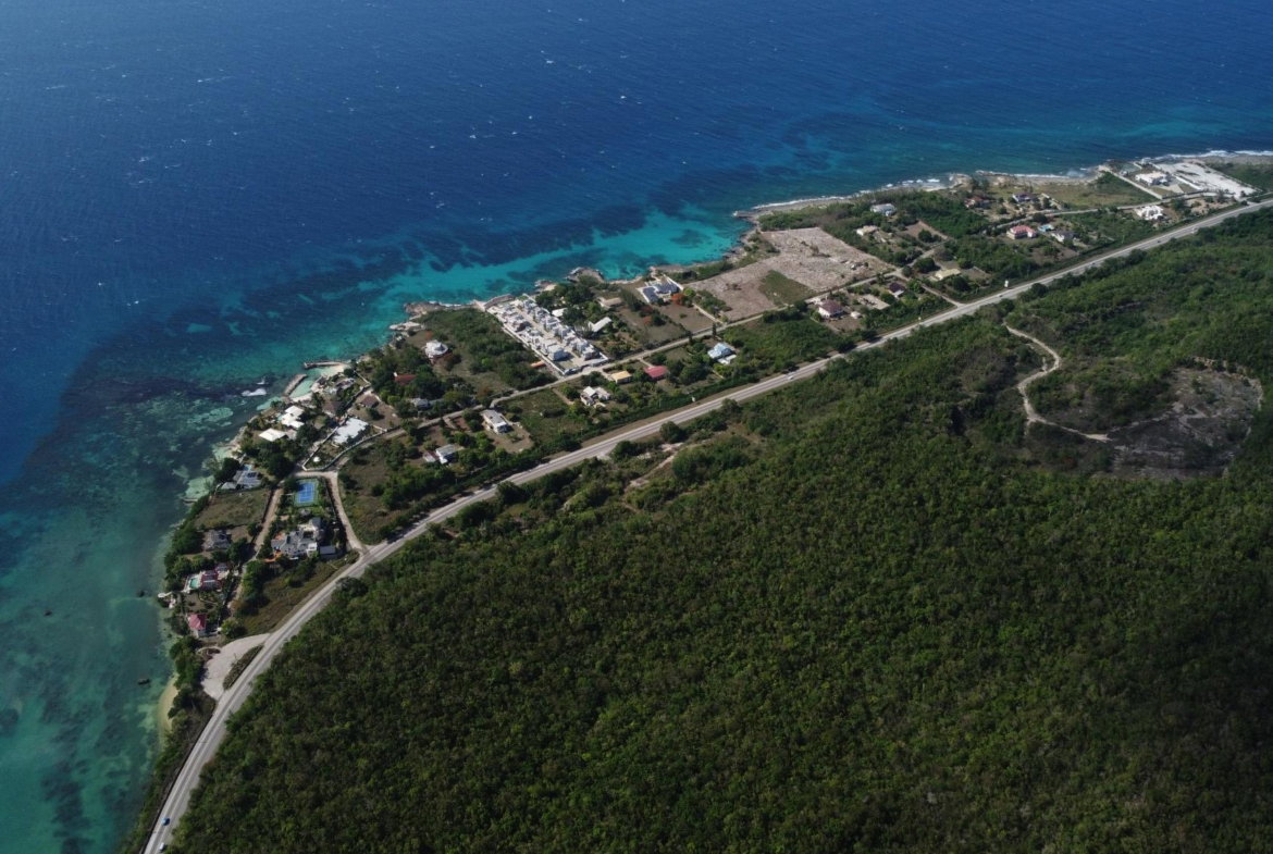 Tenth image of Lot 3- Queen's Highway, Bengal s in Red Valley, St. Ann, Jamaica - property is For Sale