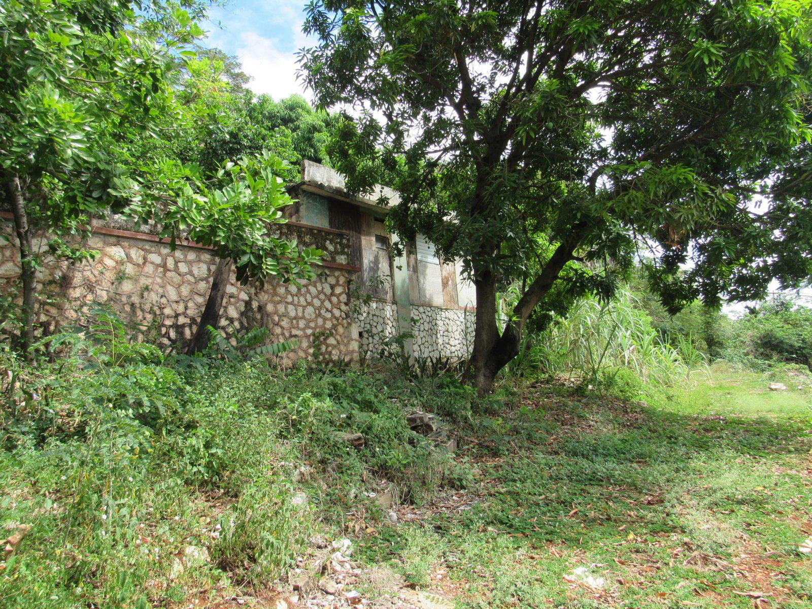 Twelfth image of 4- Red Hills Road, Forest hi in Red Hills, St. Andrew, Jamaica - property is For Sale