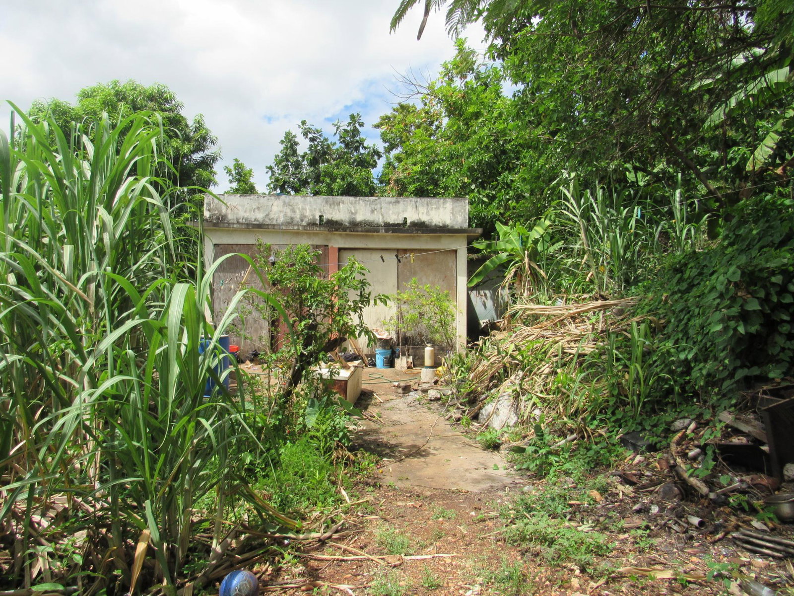 Thirteenth image of 4- Red Hills Road, Forest hi in Red Hills, St. Andrew, Jamaica - property is For Sale