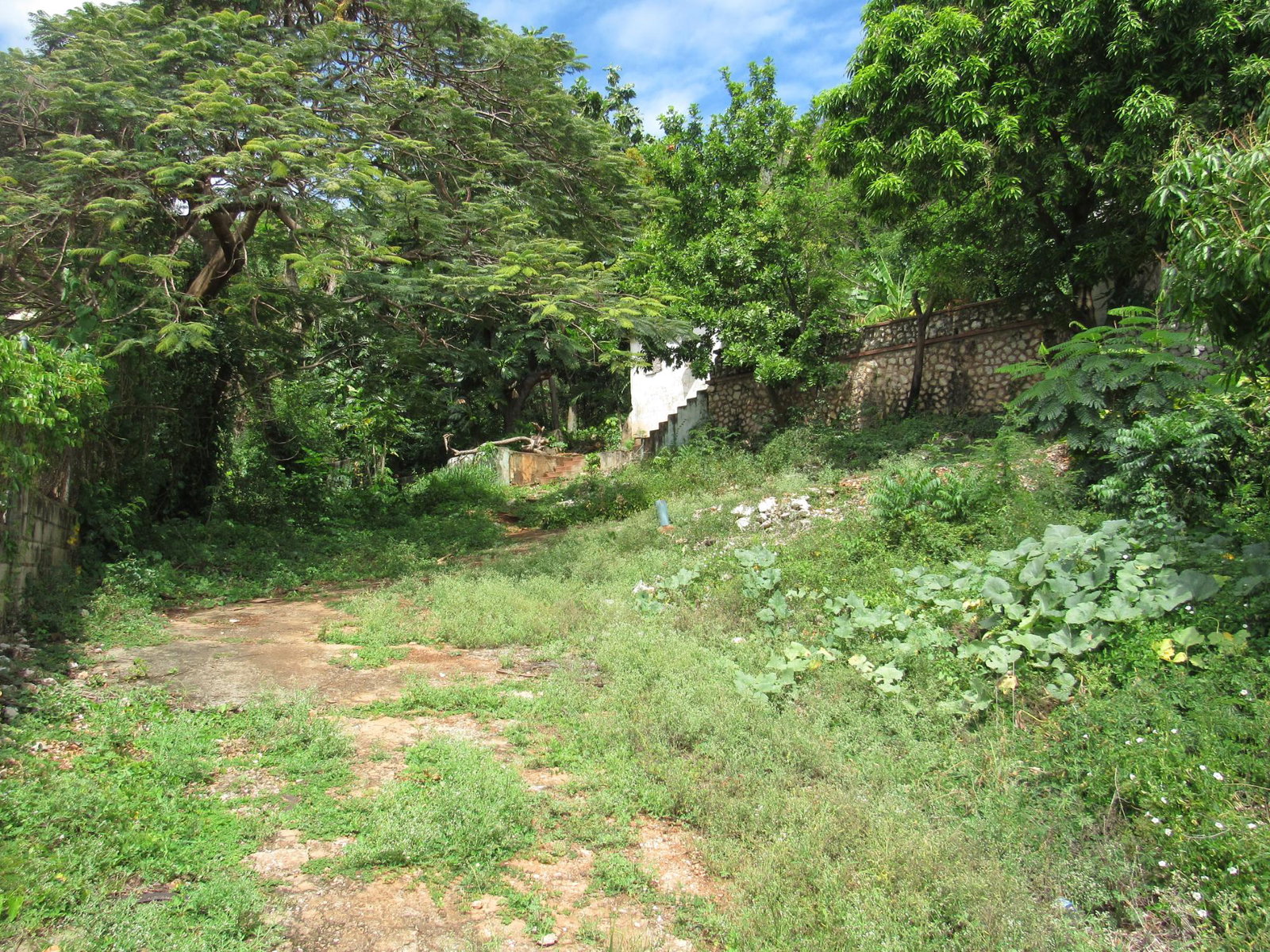 Third image of 4- Red Hills Road, Forest hi in Red Hills, St. Andrew, Jamaica - property is For Sale