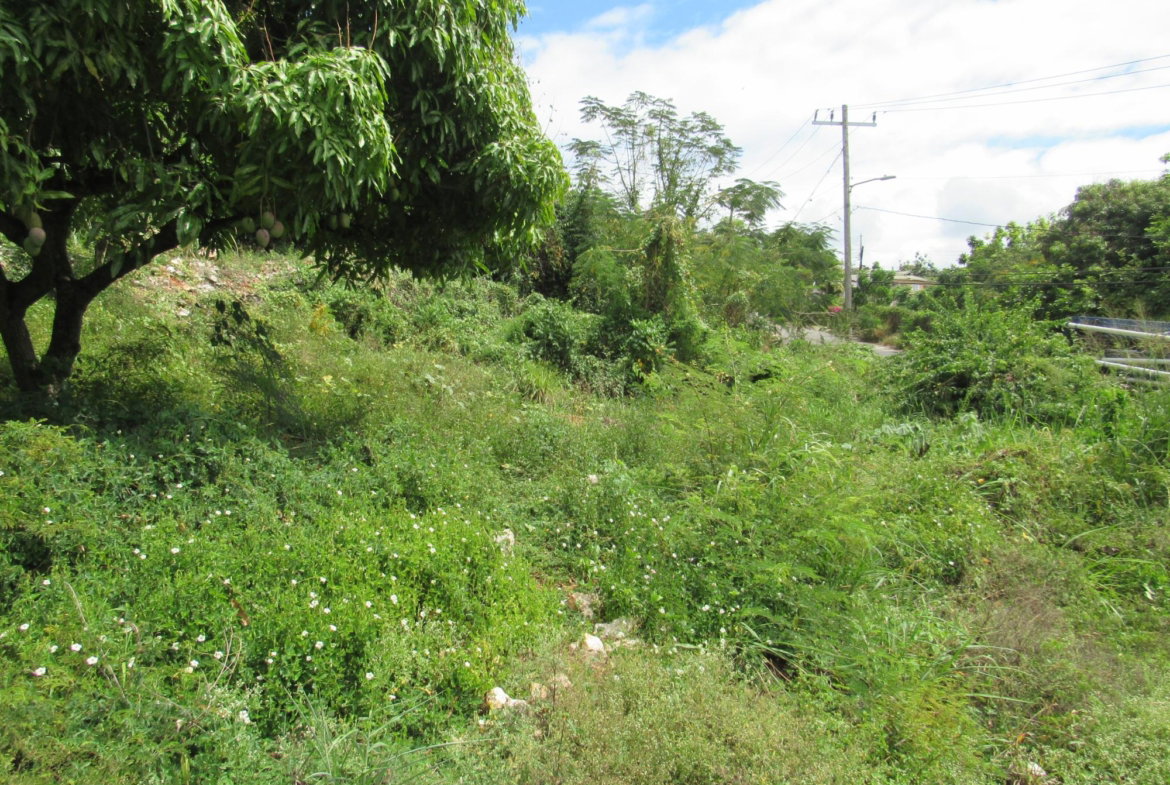 Fourth image of 4- Red Hills Road, Forest hi in Red Hills, St. Andrew, Jamaica - property is For Sale