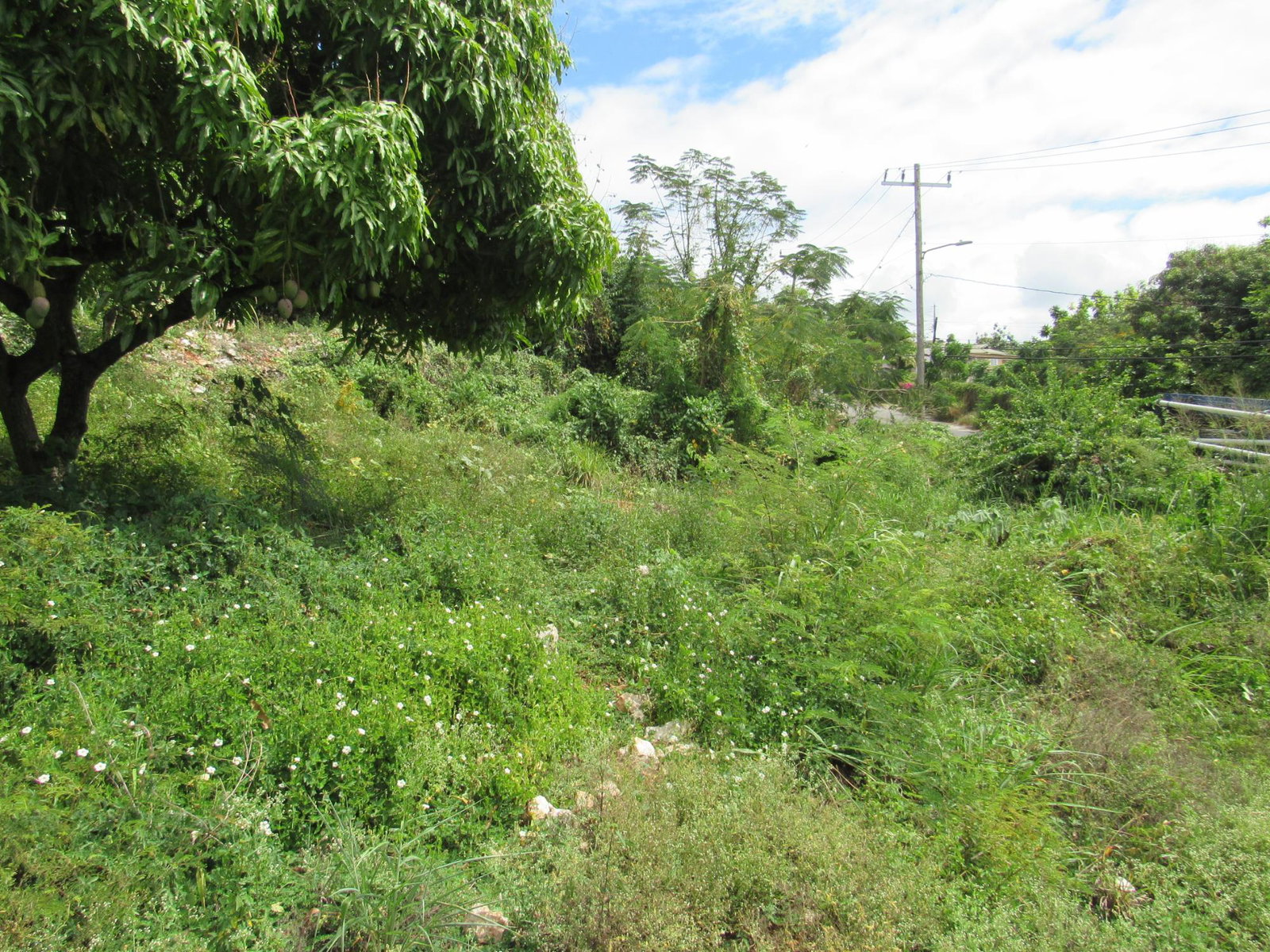 Fourth image of 4- Red Hills Road, Forest hi in Red Hills, St. Andrew, Jamaica - property is For Sale