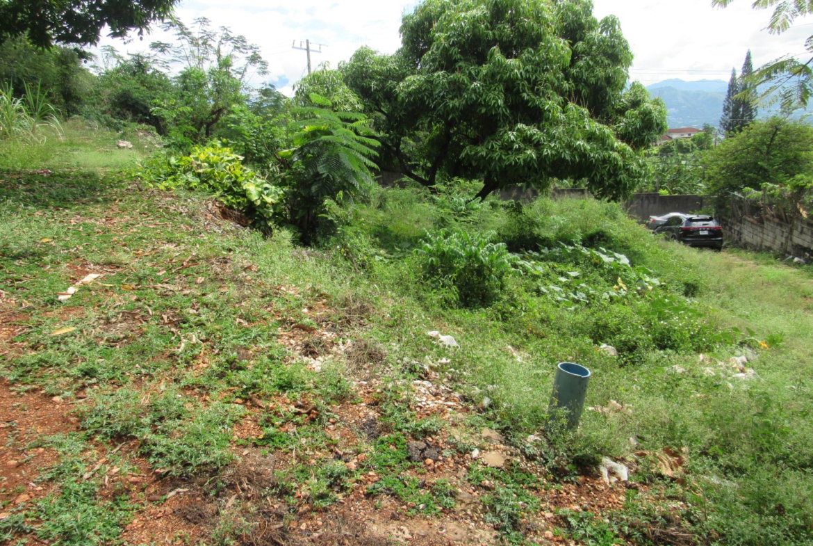 Fifth image of 4- Red Hills Road, Forest hi in Red Hills, St. Andrew, Jamaica - property is For Sale