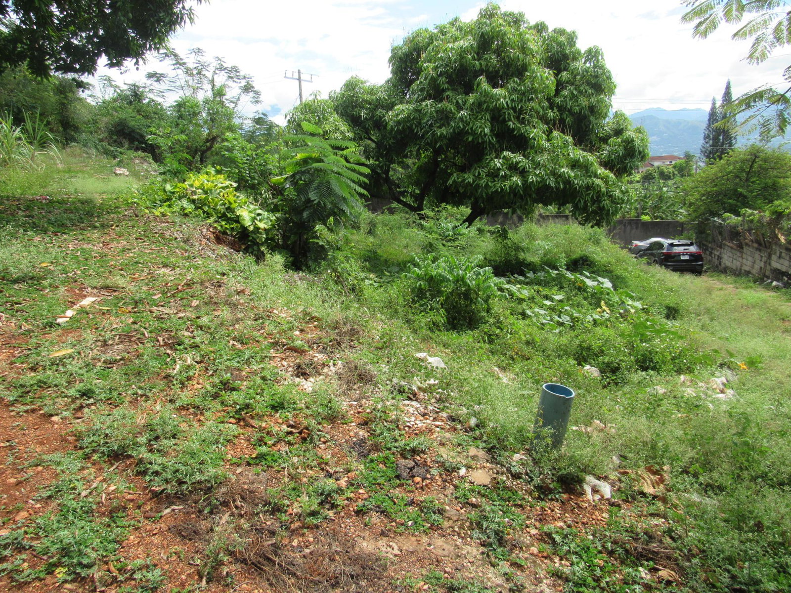 Fifth image of 4- Red Hills Road, Forest hi in Red Hills, St. Andrew, Jamaica - property is For Sale