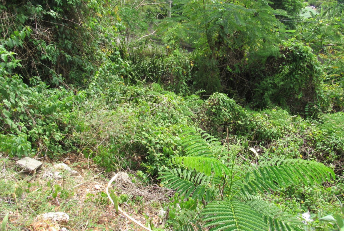 Sixth image of 4- Red Hills Road, Forest hi in Red Hills, St. Andrew, Jamaica - property is For Sale