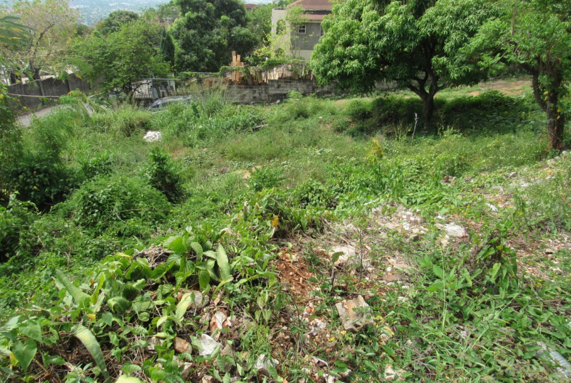 Seventh image of 4- Red Hills Road, Forest hi in Red Hills, St. Andrew, Jamaica - property is For Sale