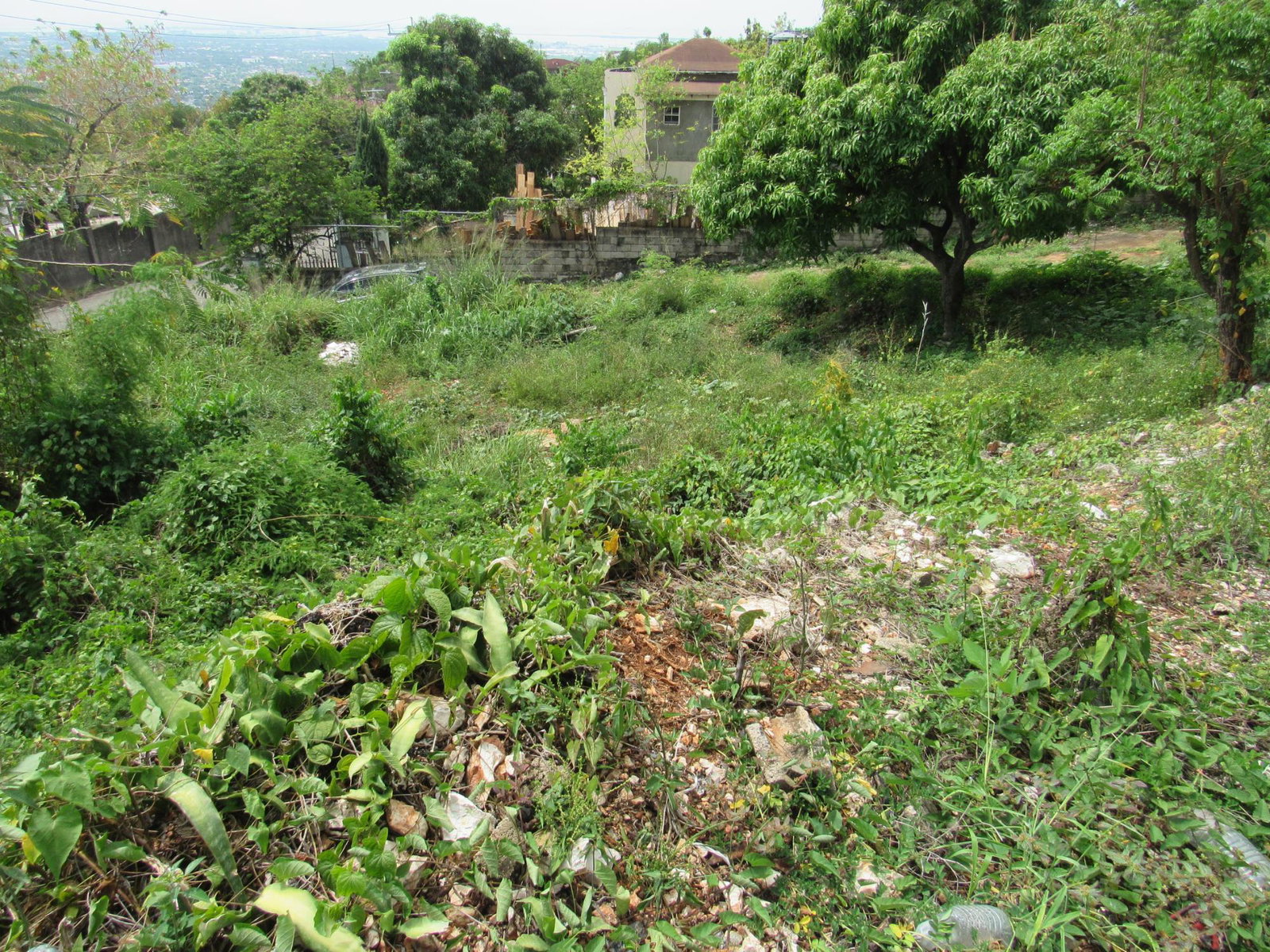Seventh image of 4- Red Hills Road, Forest hi in Red Hills, St. Andrew, Jamaica - property is For Sale