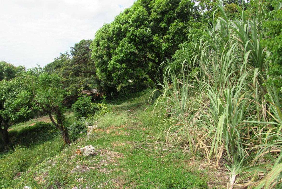Eighth image of 4- Red Hills Road, Forest hi in Red Hills, St. Andrew, Jamaica - property is For Sale