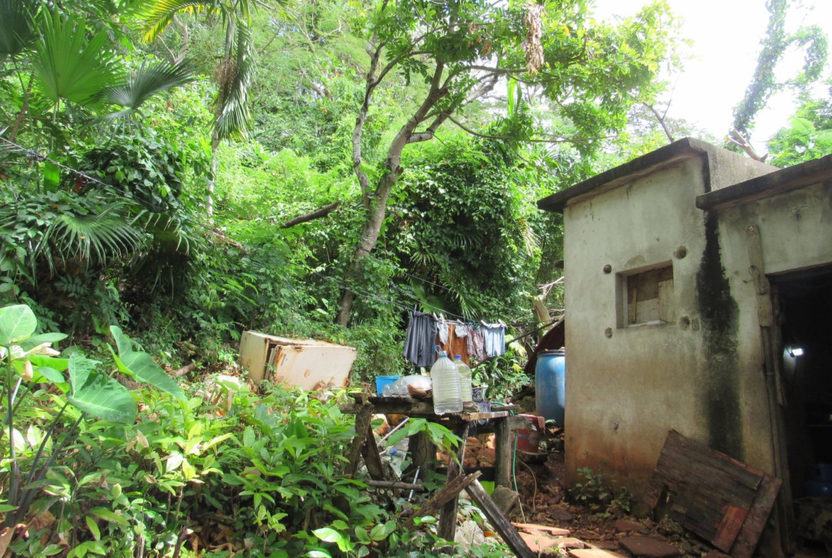 Tenth image of 4- Red Hills Road, Forest hi in Red Hills, St. Andrew, Jamaica - property is For Sale