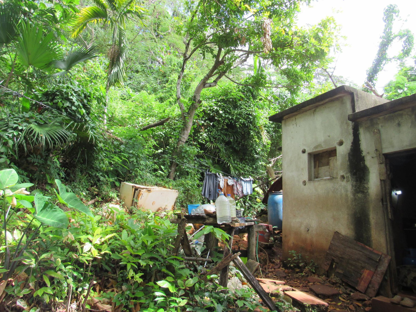Tenth image of 4- Red Hills Road, Forest hi in Red Hills, St. Andrew, Jamaica - property is For Sale