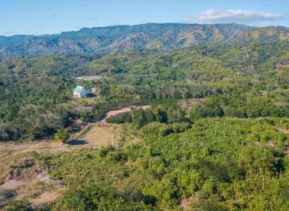 Second image of Morgans Valley, Clarendon in Morgans Pass, Clarendon, Jamaica - property is For Sale