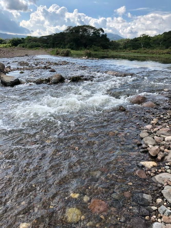 Third image of Morgans Valley, Clarendon in Morgans Pass, Clarendon, Jamaica - property is For Sale