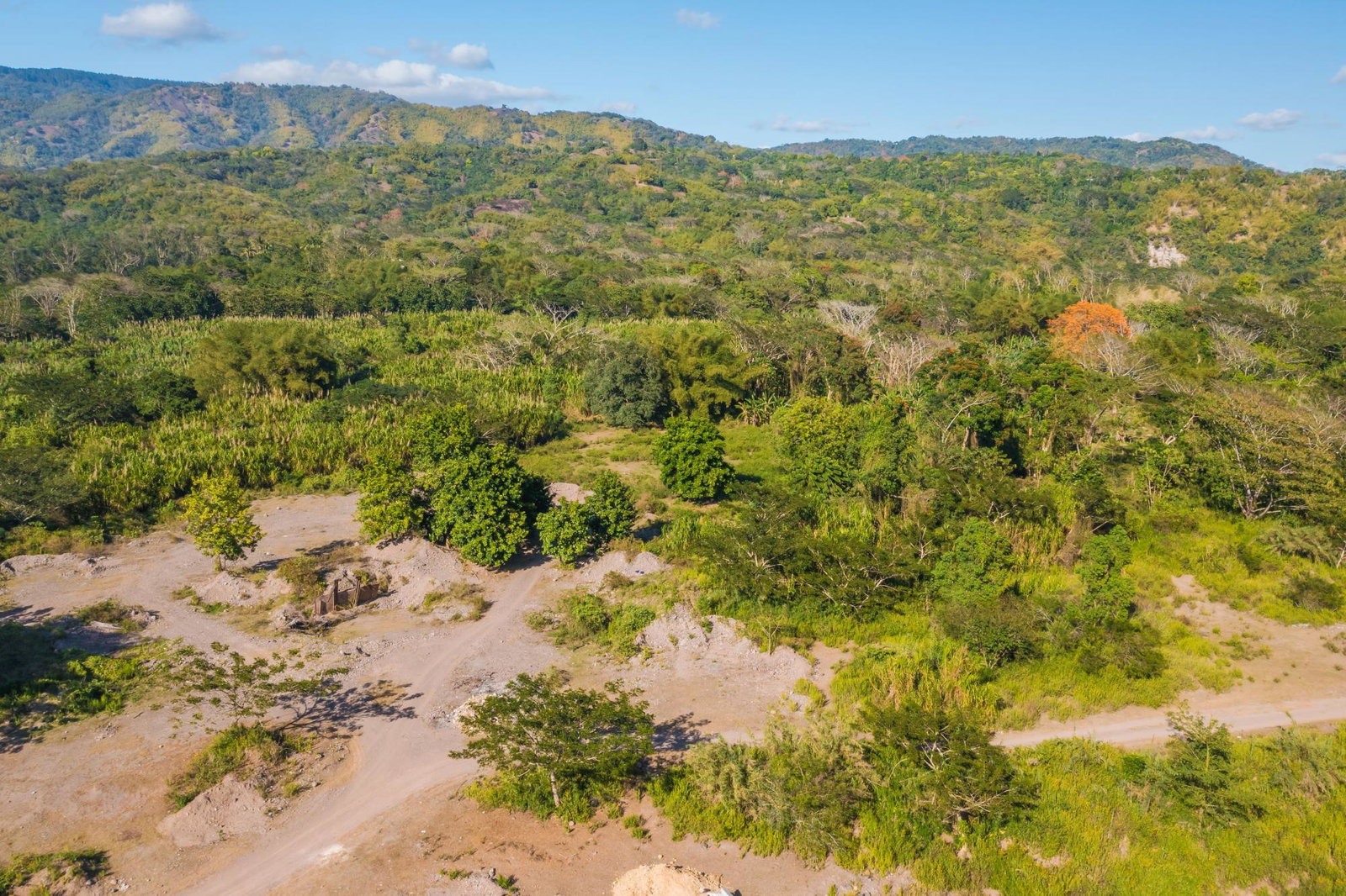 Fifth image of Morgans Valley, Clarendon in Morgans Pass, Clarendon, Jamaica - property is For Sale