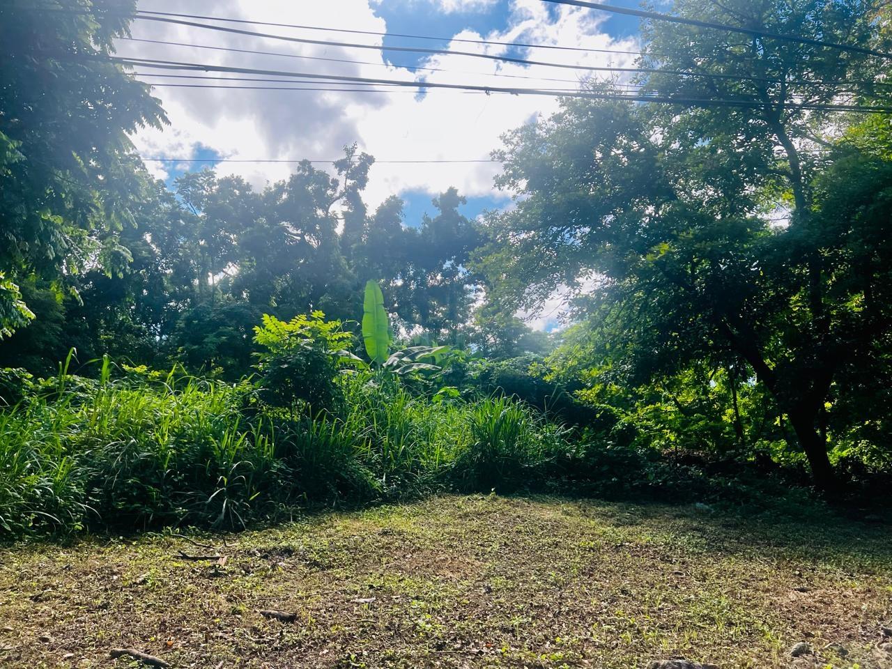 Prime-Development-Land-for-Sale-in-Ocho-Rios-St.-Ann-–-8a-Hermosa-Lane Third image of 8a Hermosa Lane in Ocho Rios, St. Ann, Jamaica - property is For Sale