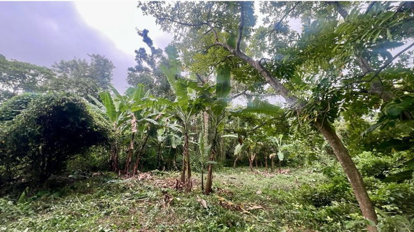 Fifth image of 8a Hermosa Lane in Ocho Rios, St. Ann, Jamaica - property is For Sale