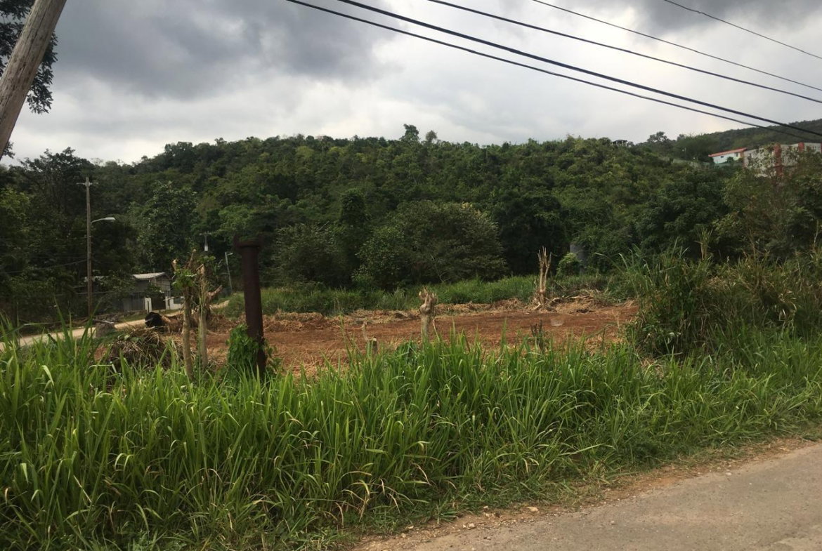 Third image of Maverley Mountain in Red Hills, St. Andrew, Jamaica - property is For Sale