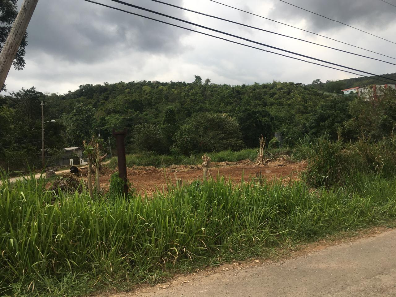 Third image of Maverley Mountain in Red Hills, St. Andrew, Jamaica - property is For Sale