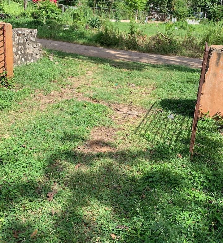 Fourth image of Maverley Mountain in Red Hills, St. Andrew, Jamaica - property is For Sale