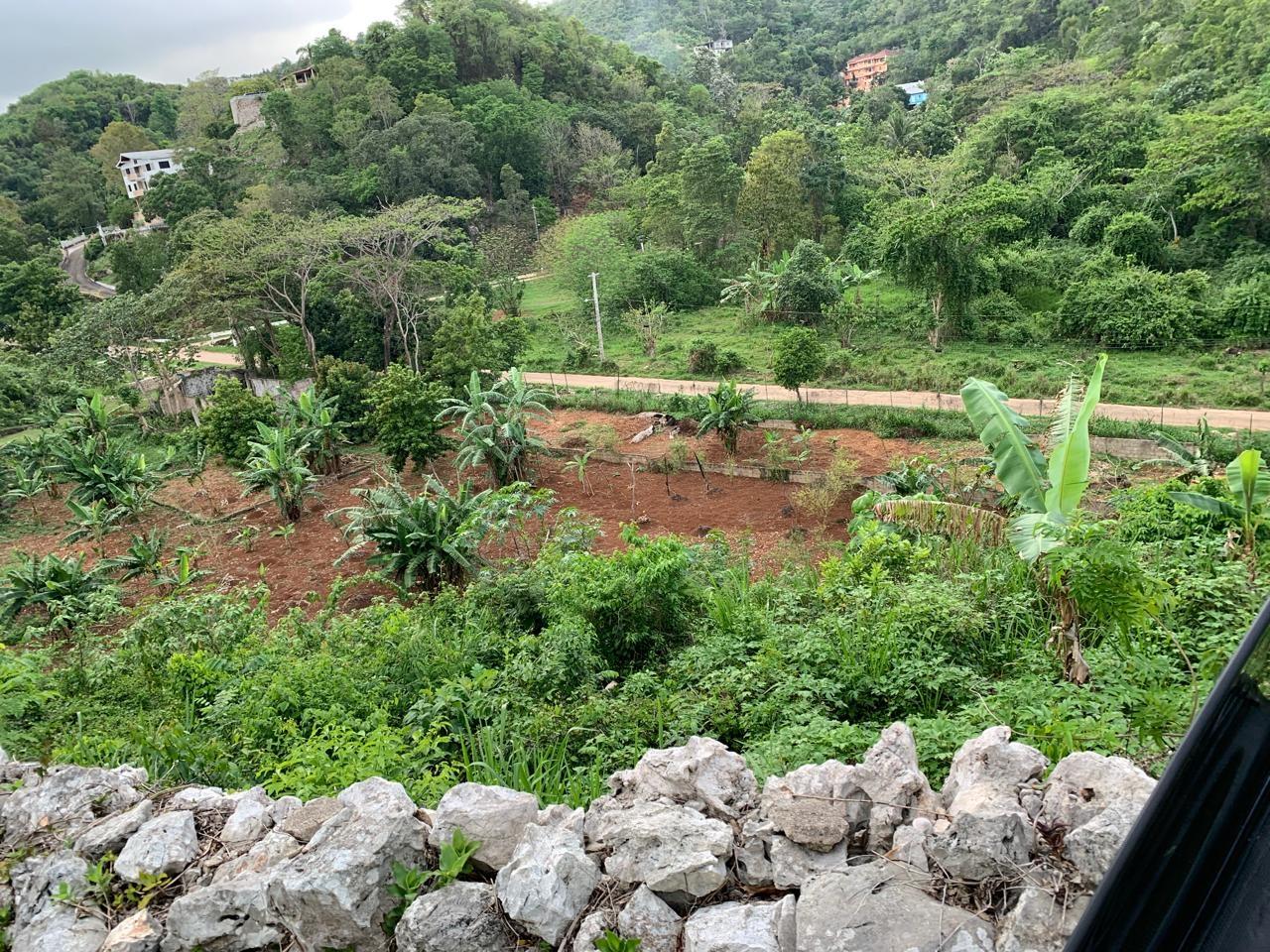 Fifth image of Maverley Mountain in Red Hills, St. Andrew, Jamaica - property is For Sale