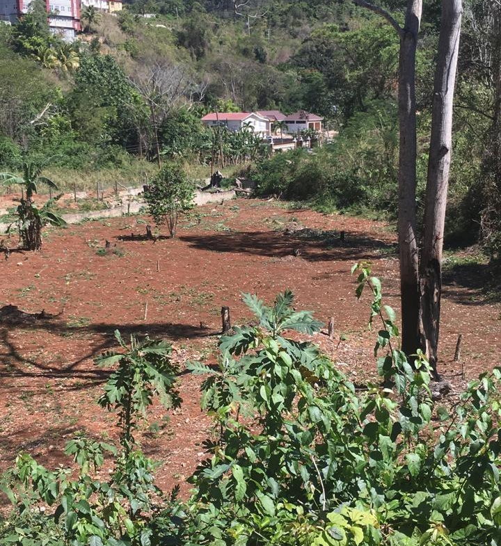 Sixth image of Maverley Mountain in Red Hills, St. Andrew, Jamaica - property is For Sale