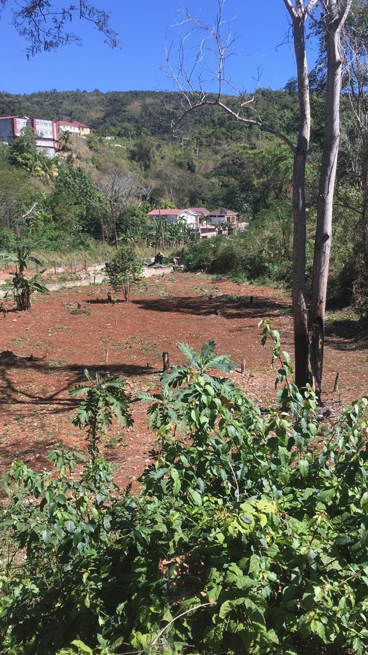 Sixth image of Maverley Mountain in Red Hills, St. Andrew, Jamaica - property is For Sale