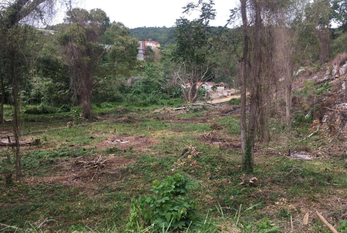 Seventh image of Maverley Mountain in Red Hills, St. Andrew, Jamaica - property is For Sale