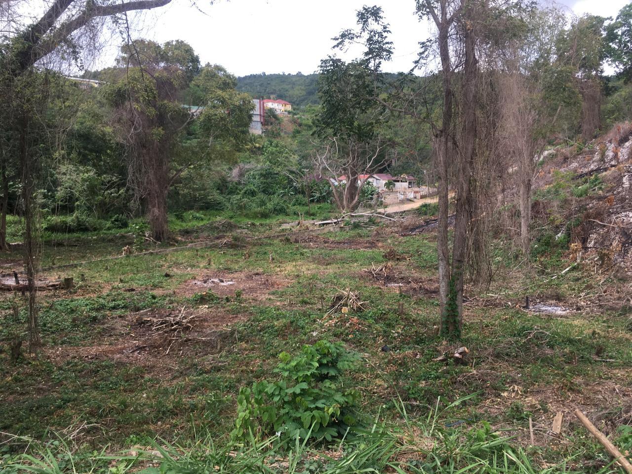 Seventh image of Maverley Mountain in Red Hills, St. Andrew, Jamaica - property is For Sale