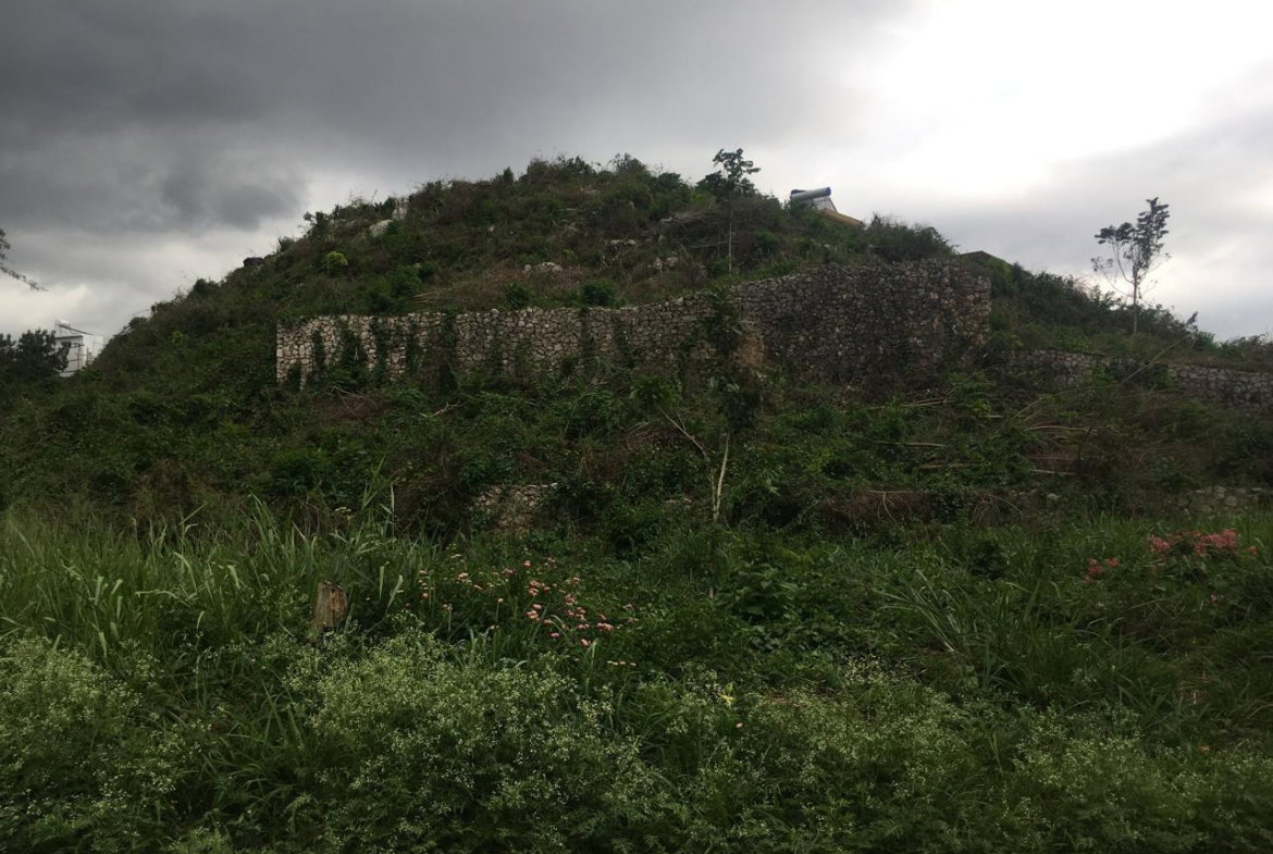 Eighth image of Maverley Mountain in Red Hills, St. Andrew, Jamaica - property is For Sale