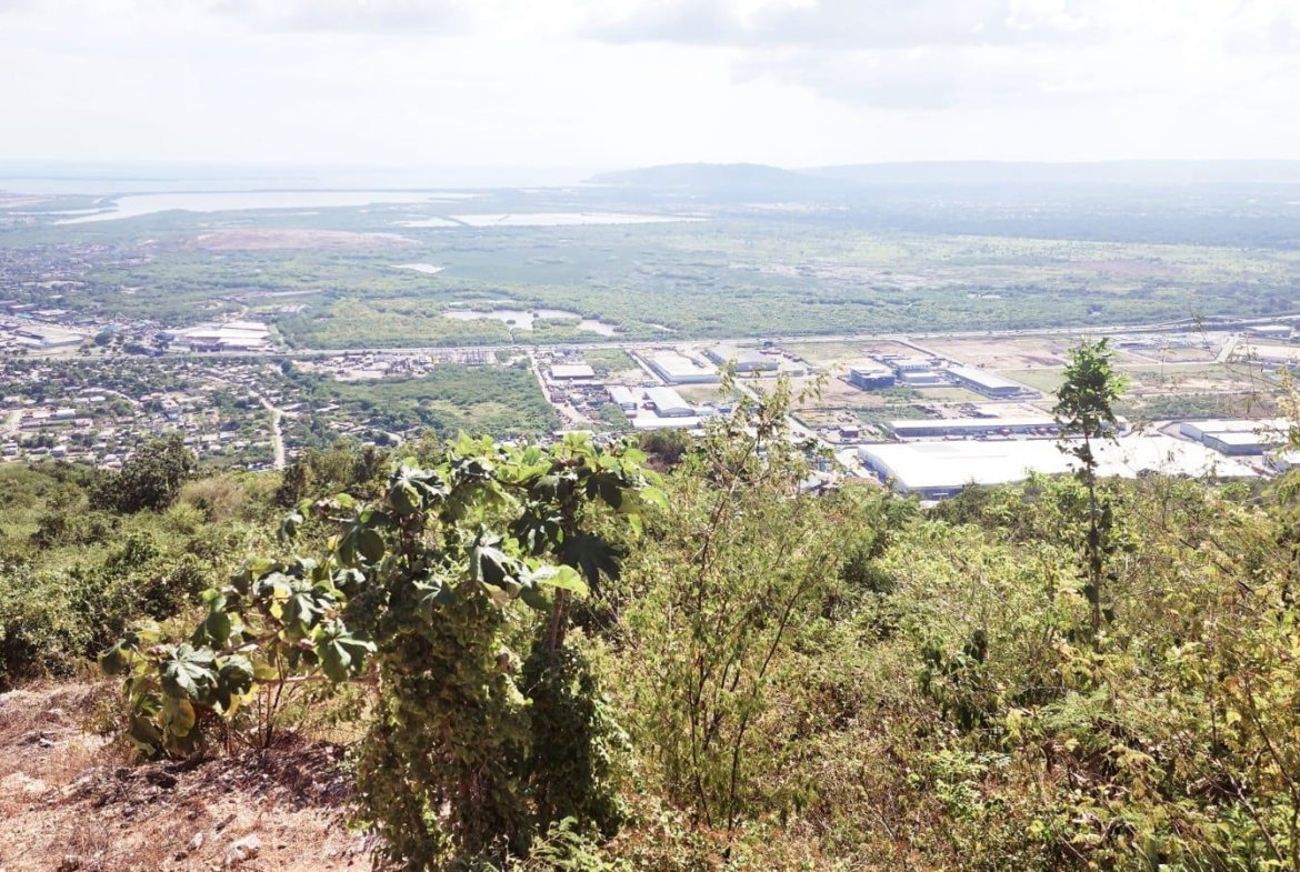 Fifth image of 296a Cragstone Drive, Plantati in Kingston 19, St. Andrew, Jamaica - property is For Sale