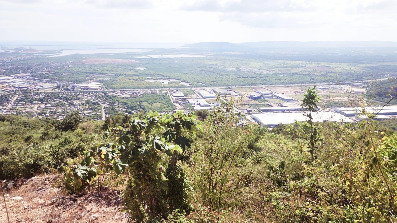 Fifth image of 296a Cragstone Drive, Plantati in Kingston 19, St. Andrew, Jamaica - property is For Sale