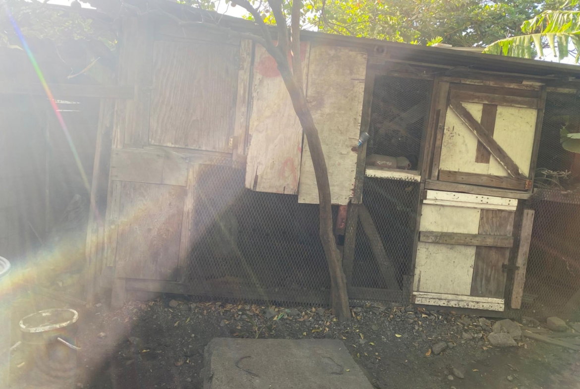 Eleventh image of 17c Third Street, 5 Greenwich in KINGSTON, Kingston, Jamaica - property is For Sale