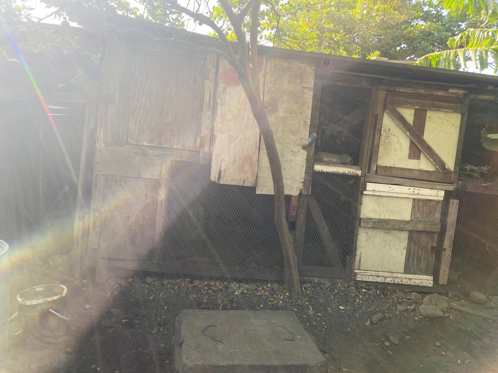 Eleventh image of 17c Third Street, 5 Greenwich in KINGSTON, Kingston, Jamaica - property is For Sale