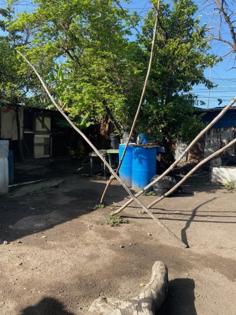 Ninth image of 17c Third Street, 5 Greenwich in KINGSTON, Kingston, Jamaica - property is For Sale