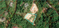 First image of Diamond Road in Kingston 9, St. Andrew, Jamaica - property is For Sale