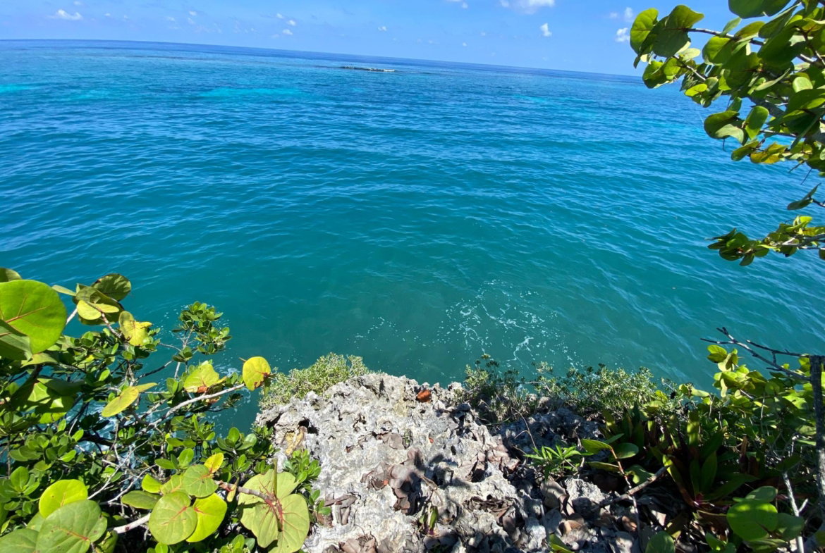 Eleventh image of 4 Boscobel in Boscobel, St. Mary, Jamaica - property is For Sale